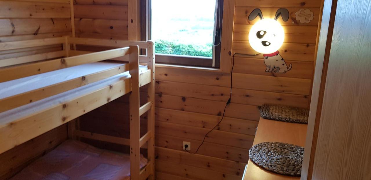 Pokoje Pod Agawa Homestay *